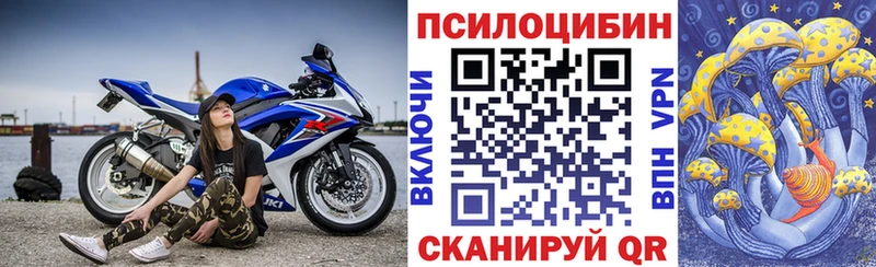 blacksprut ссылки  Таруса  Псилоцибиновые грибы Psilocybine cubensis 